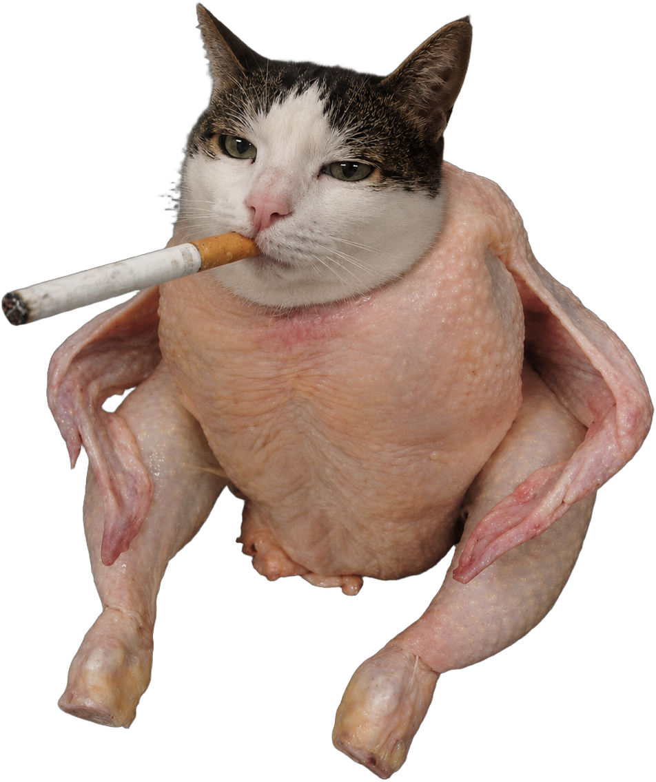 Chicken Smoking Cat close-up, cigarette in mouth